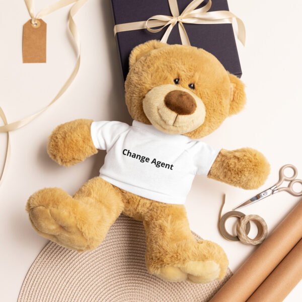 Change Agent Teddy Bear with a T-shirt